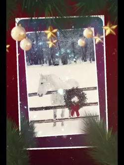 happy Holidays 