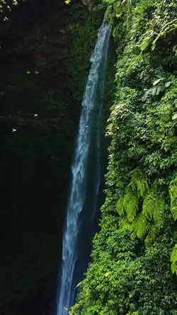 9 video or photo 
