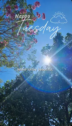 Happy Tuesday 