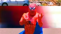 Polyester Spiderman