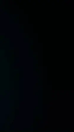 Disco