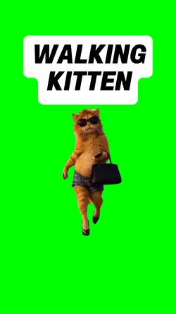 WALKING KITTEN