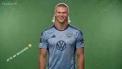 erling halland🤣🤣🤣