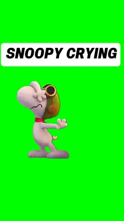 SNOOPY CRYIN