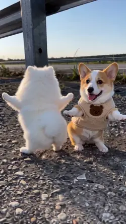 So cute