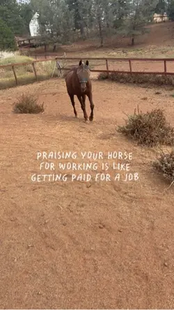 Praise