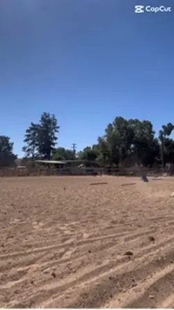 Dolly’s canter 😍😍
