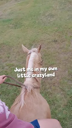 My crazyland