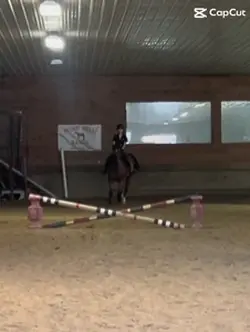 jumpy jumpy 