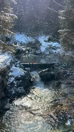 Snowfall 
