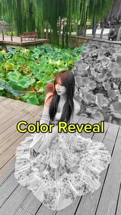 Color Reveal