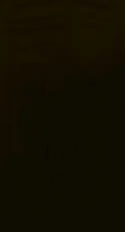 Add 8 clips