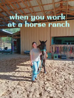 work at the ranch