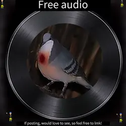 Free vent audio