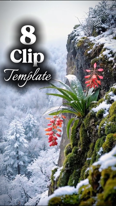 capcut template cover