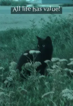 Death for content?