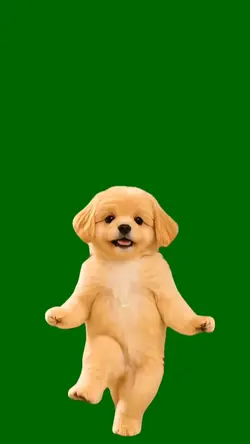 Dancing Golden Pup