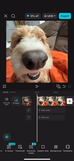 Tut