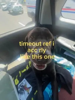 timeout ref