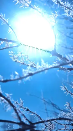 Winter 2026