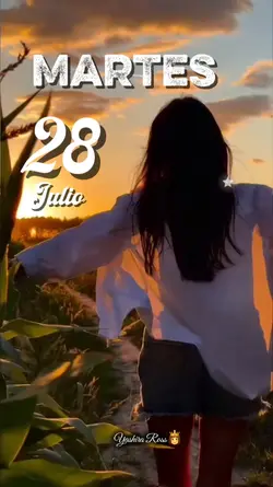 Martes 28 de julio