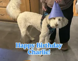 Charlie 1st Birthday