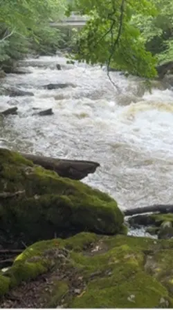 Falls