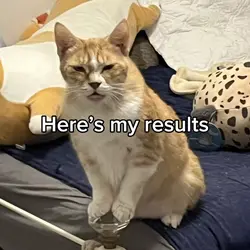 Comp results