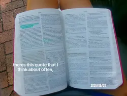 matthew 5:44