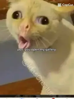 pov of this happens