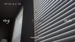 vlog