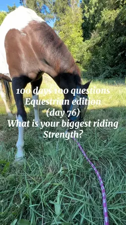 Equestrian questions