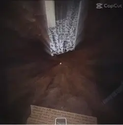 Edit