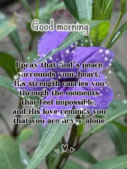 Good morning