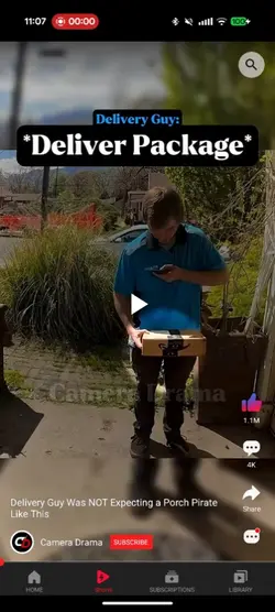 Porch pirate