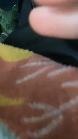 😭✌️