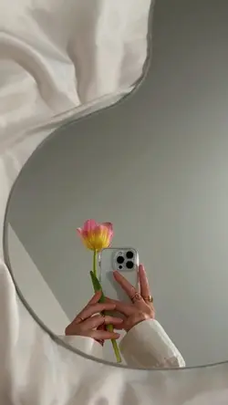 Long vlog