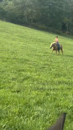 ⚠️Fake horse⚠️ AI