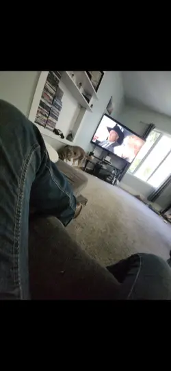 meko