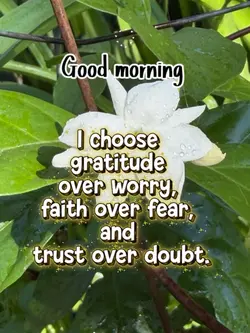 Good morning 