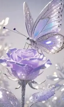  Beautiful Butterfly