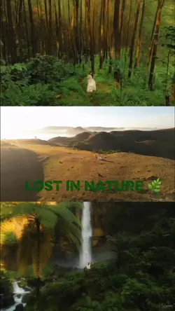 @natureVibes🌿✨