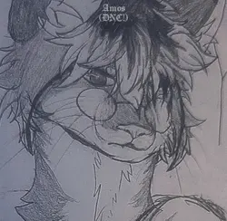 Commission completed