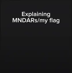 MNDARs flag :3