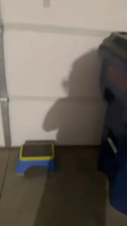 bottle flip
