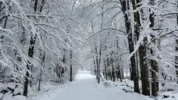 winter