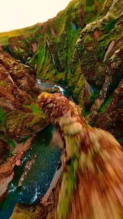 Nature vibes 