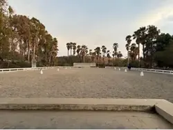 🐴
