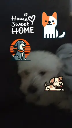 Teddy my son forever