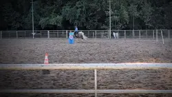Texx 